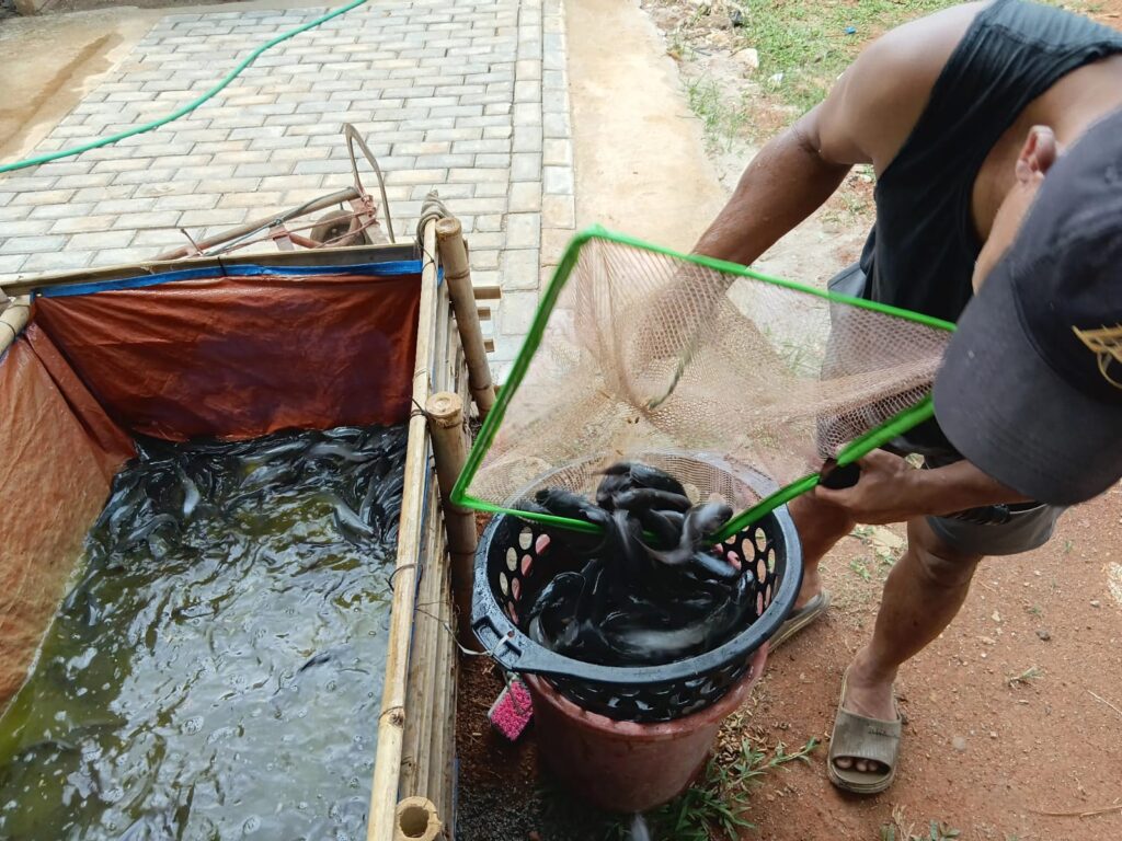 pelatihan kuliner