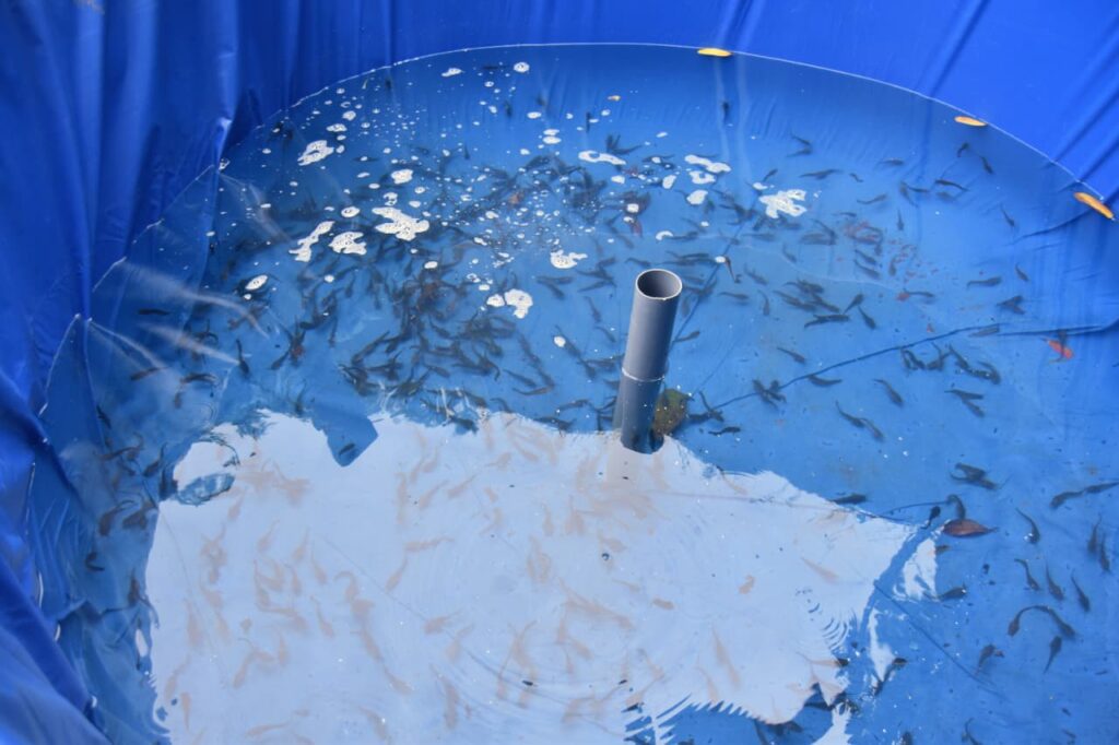 Program Pemberdayaan Ekonomi Berbasis Agribisnis