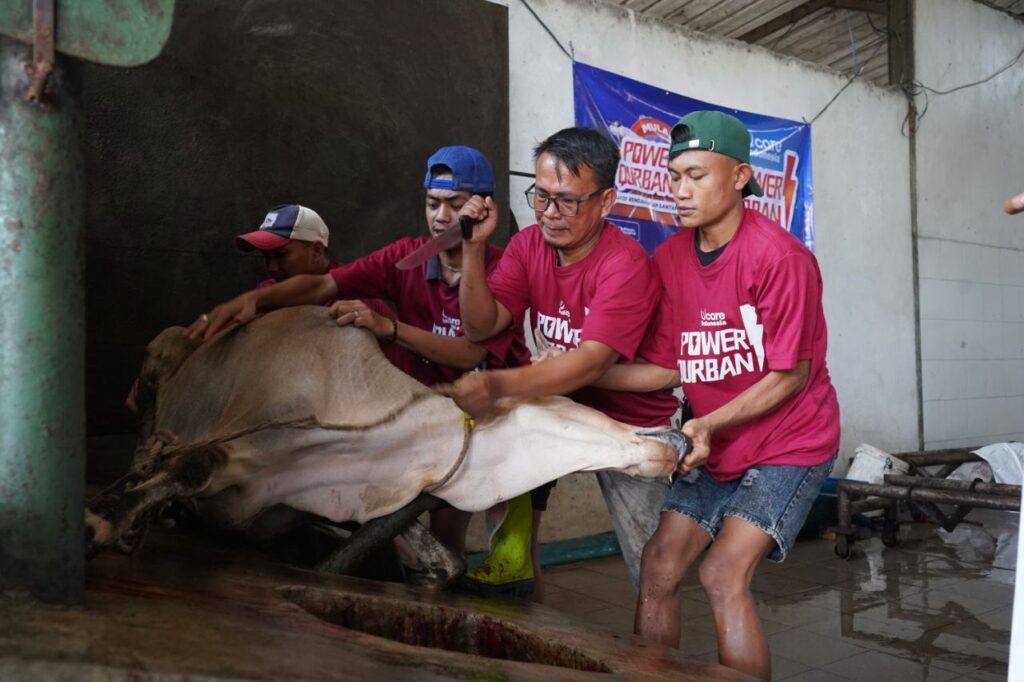 Power Qurban UCare Indonesia 2026