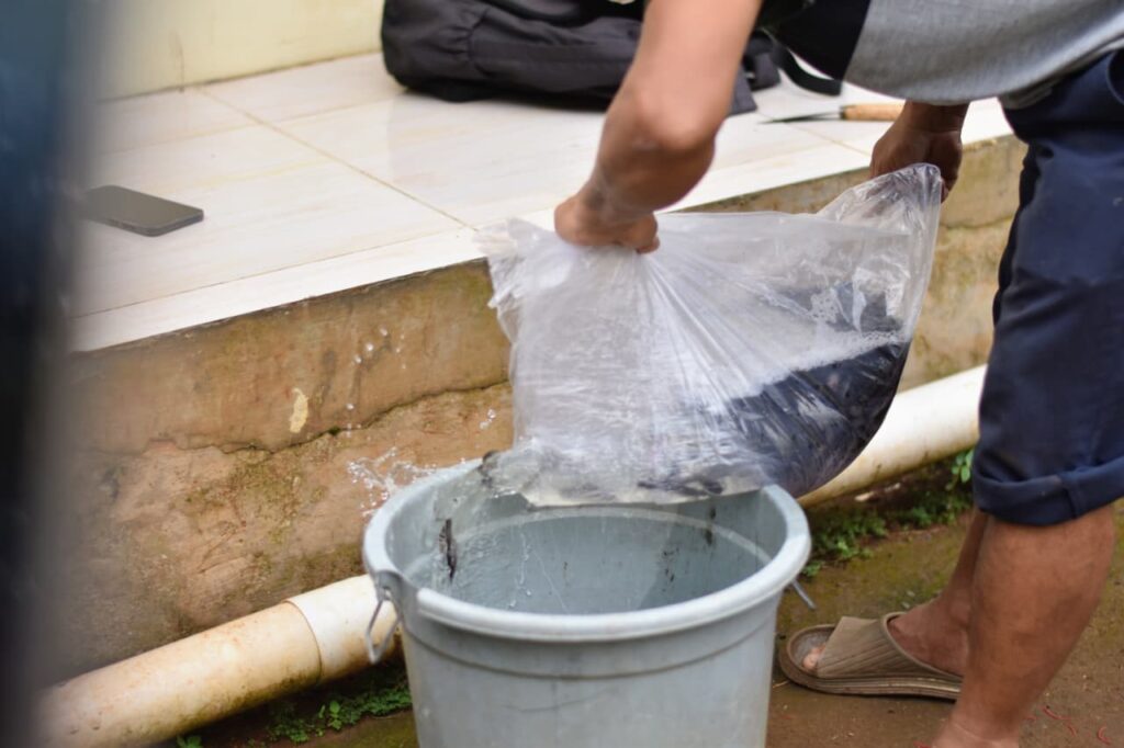 Program Pemberdayaan Ekonomi Berbasis Agribisnis